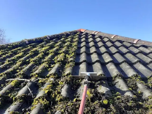 Roof moss treatment and removal in progress on an Auckland property