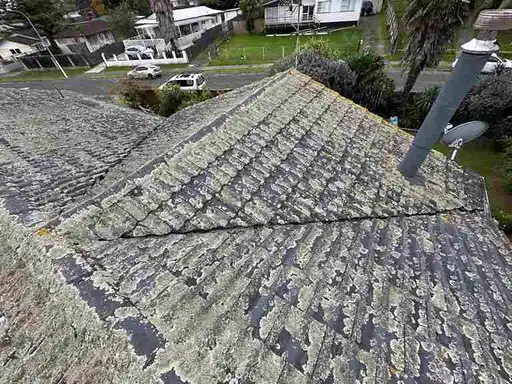 Completed roof moss treatment and removal on a residential project in Auckland