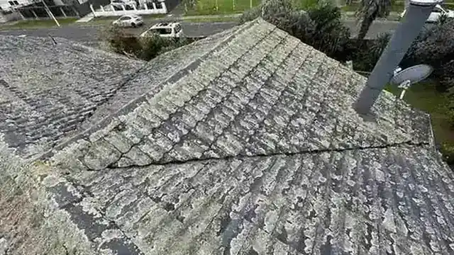Roof moss treatment and removal in Auckland by My Homes Construct Ltd