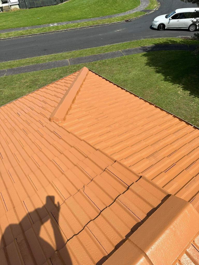 03_Roof Painting