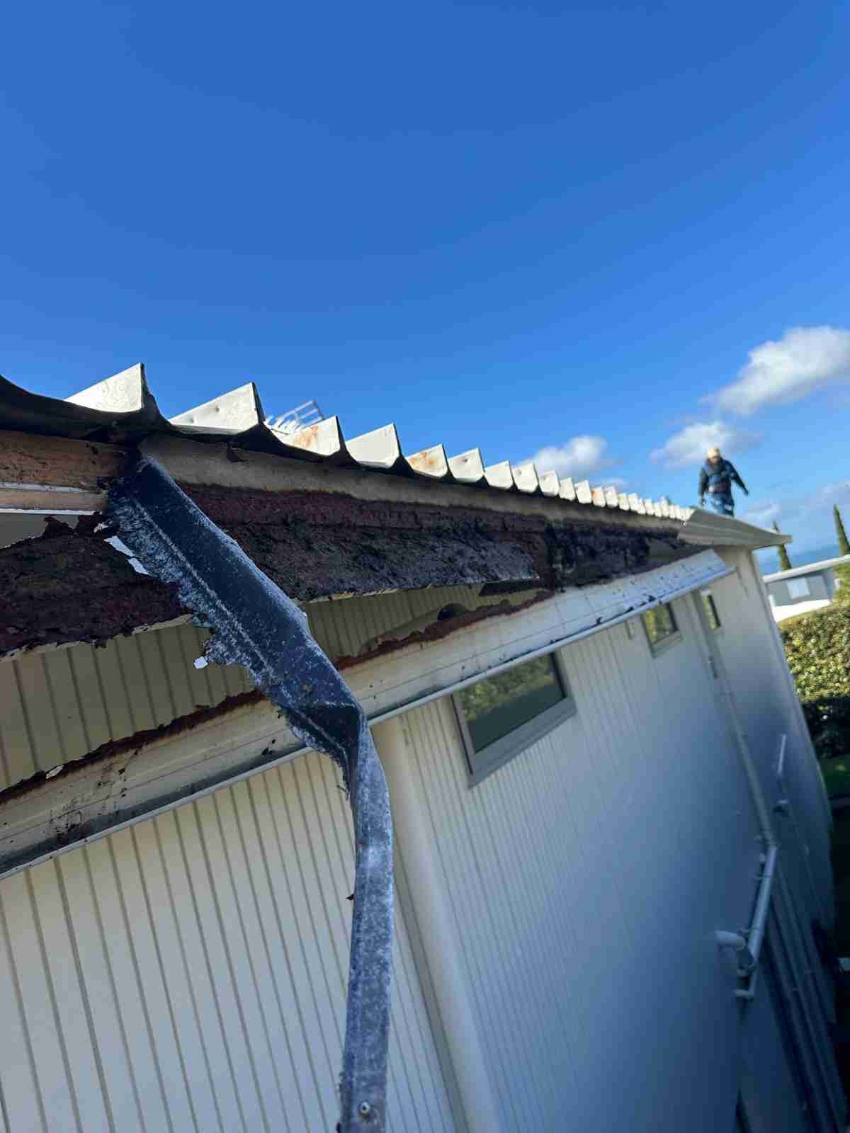 gutter replacement auckland