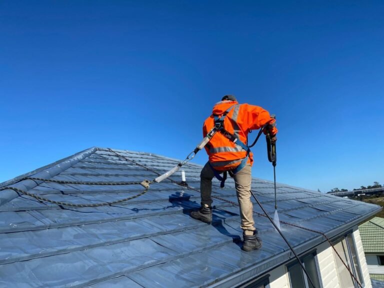 Expert Roof Cleaning Services in Auckland
