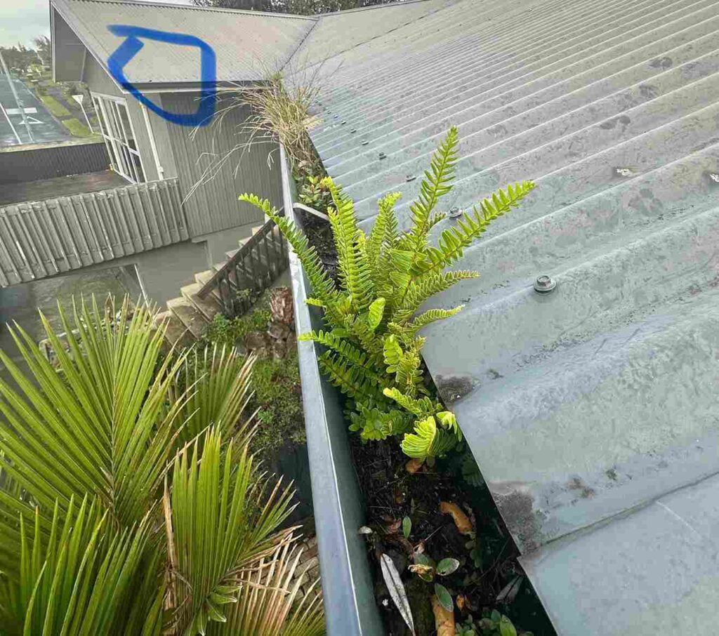 Blocked Gutter_03_01 (1)