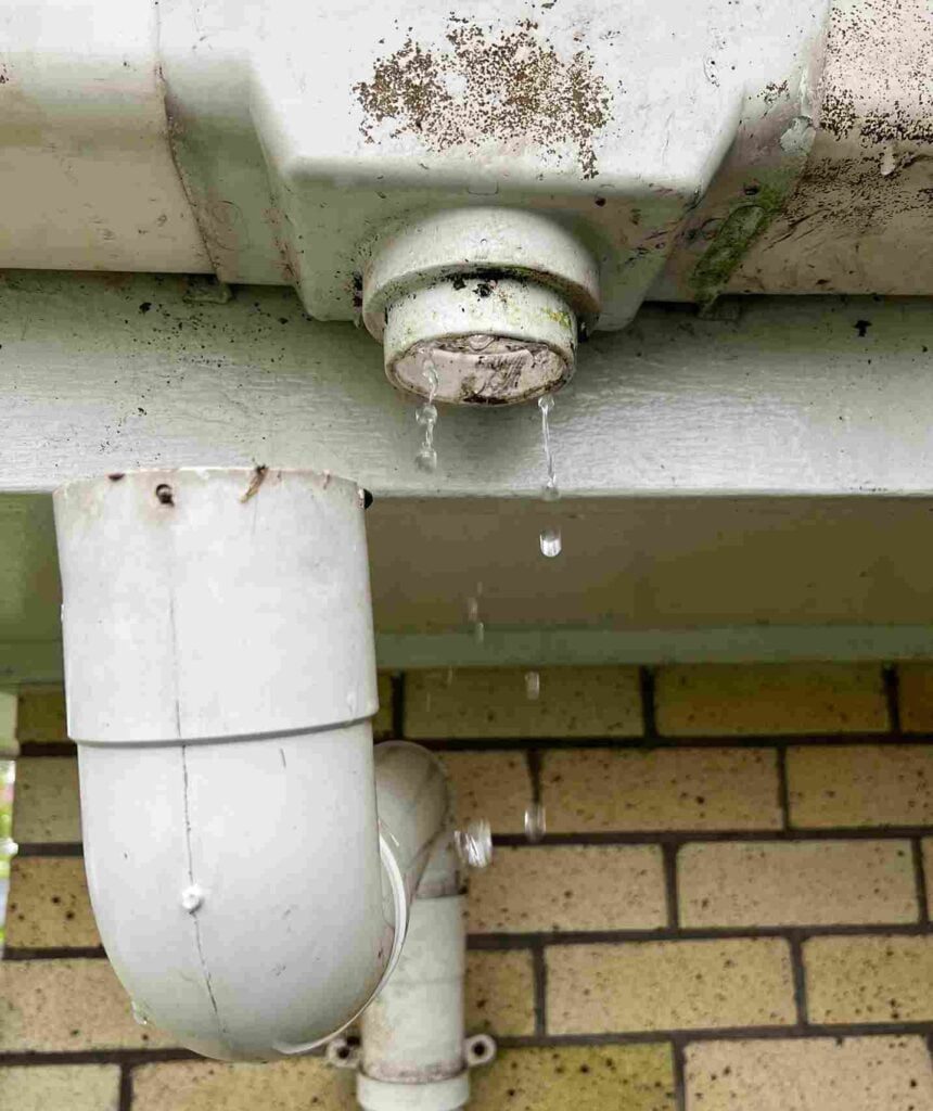 gutter cleaning in Auckland