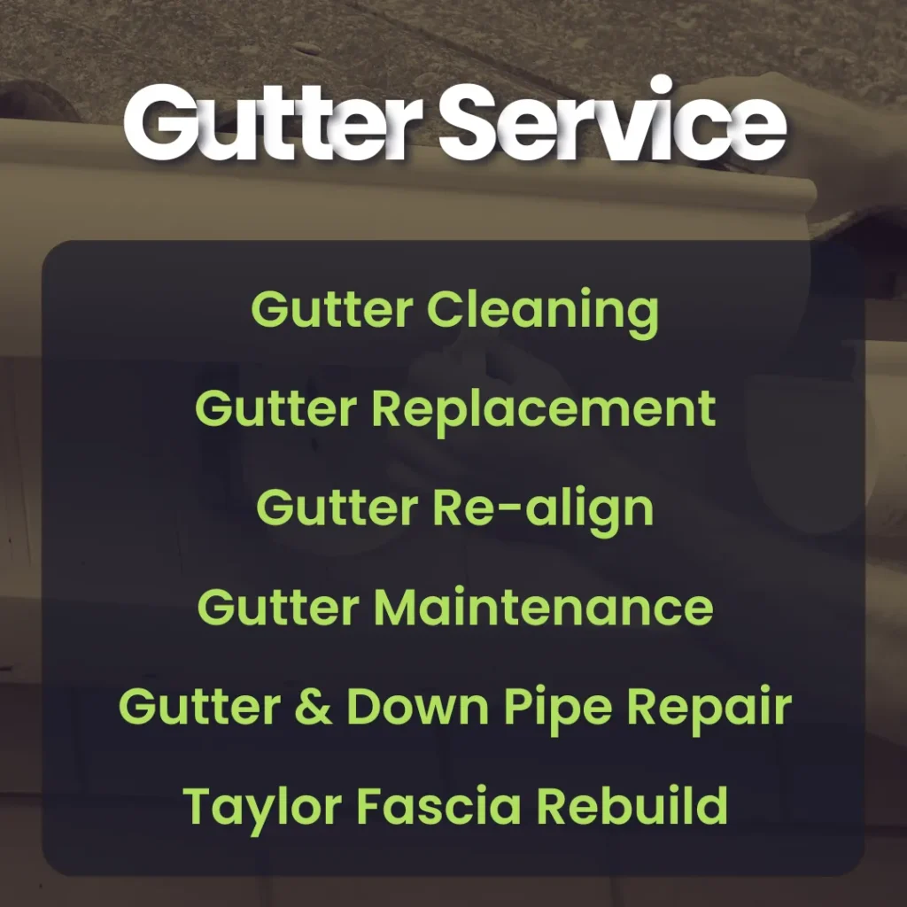 01_Gutter Service