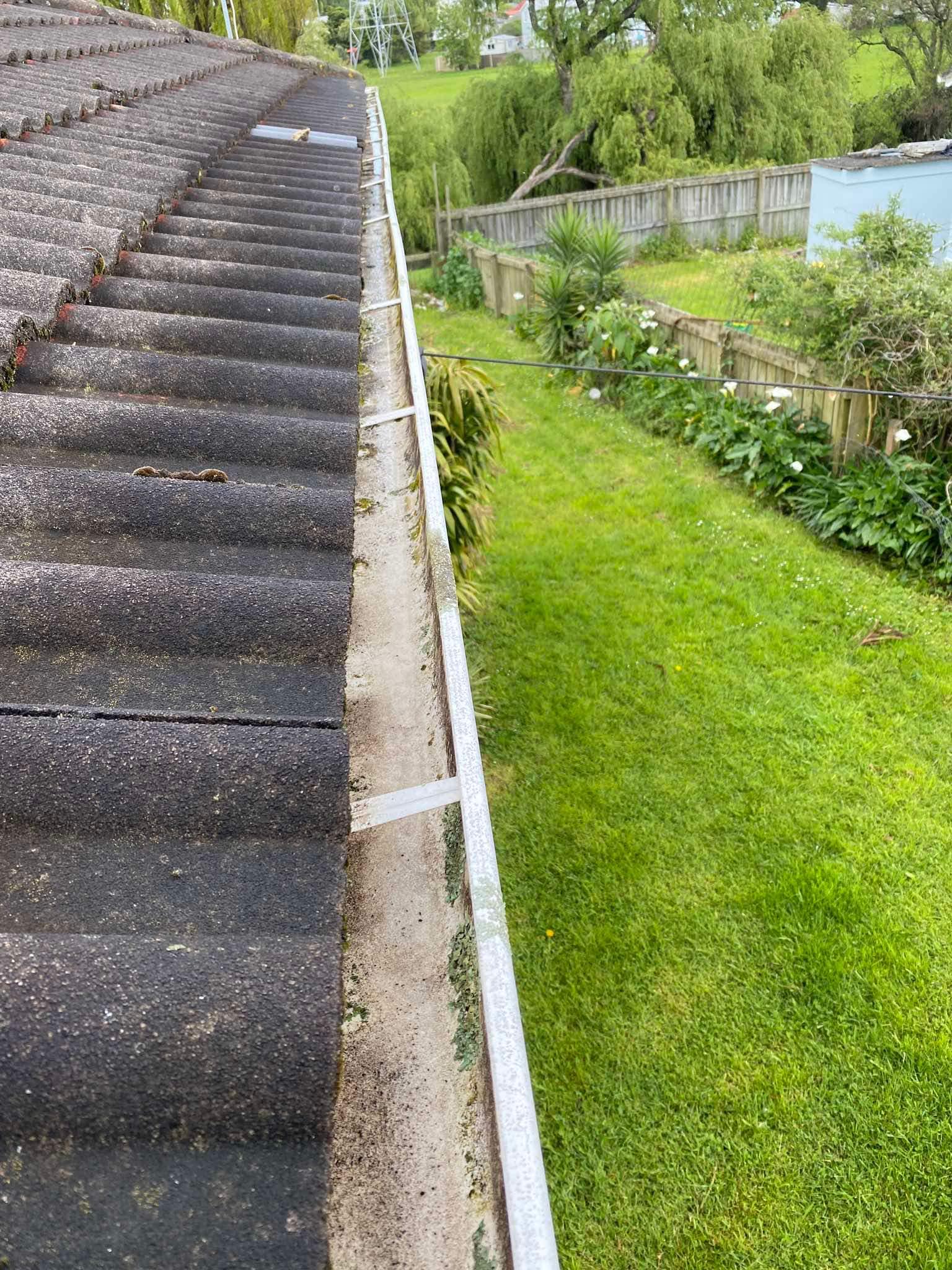 Gutter Cleaning_06_08_02 (1)