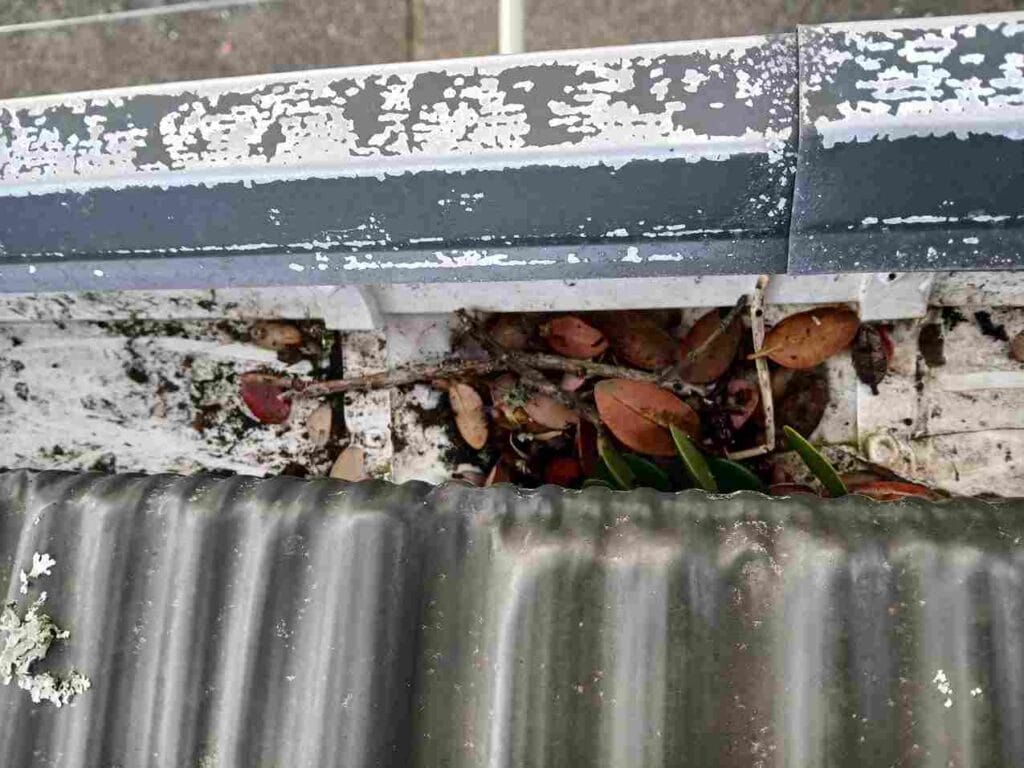 gutter cleaning in Auckland