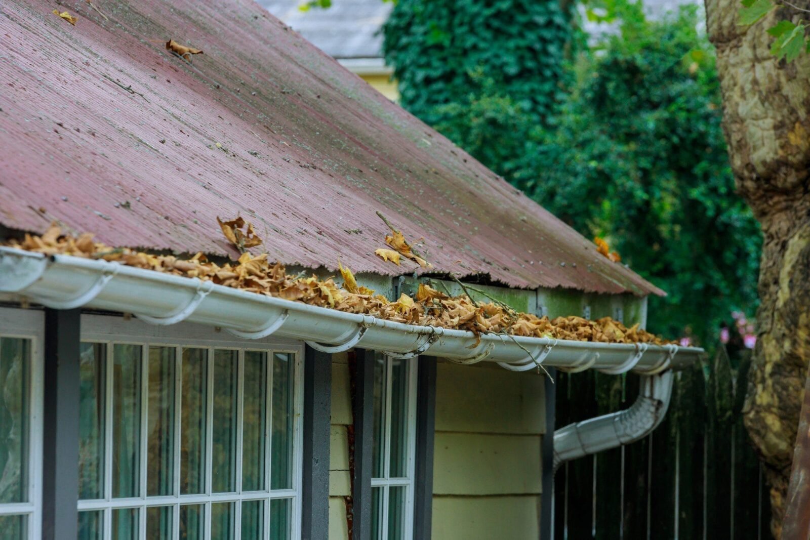 home renovation & Gutter replacement