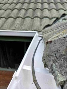 Gutter Installation and Maintenance in Auckland