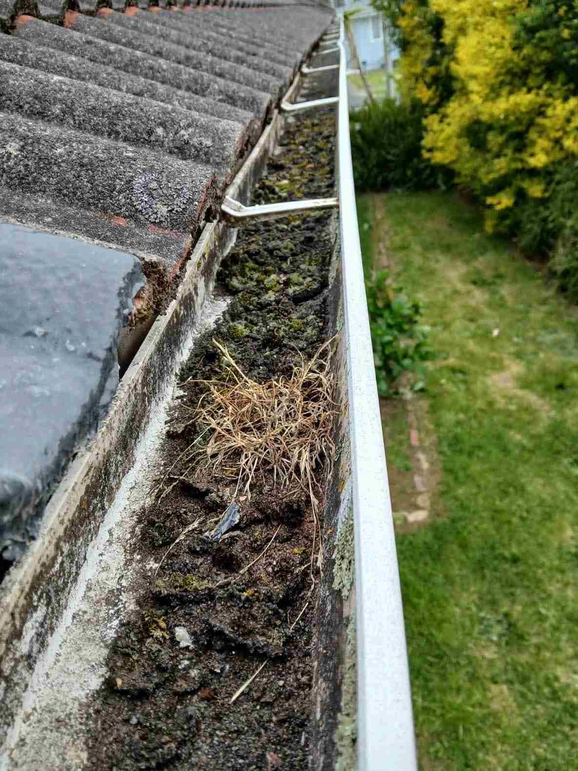 gutter installation auckland