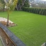 Artificial grass_05.