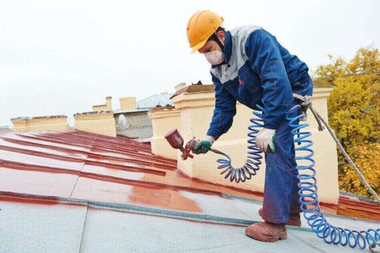 Expert Roof Painting Services in Auckland