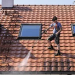 a man doing roof cleaning