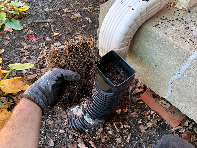 How to Clean Gutter Downspouts Auckland