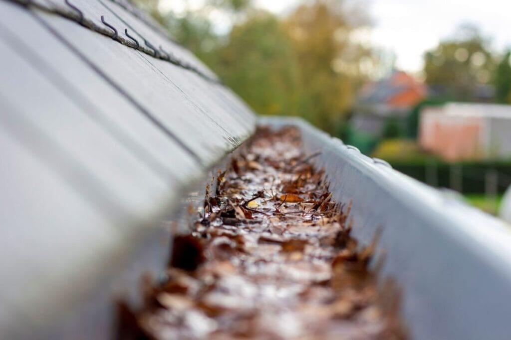 how much gutter cleaning costs in 2025 Auckland NZ