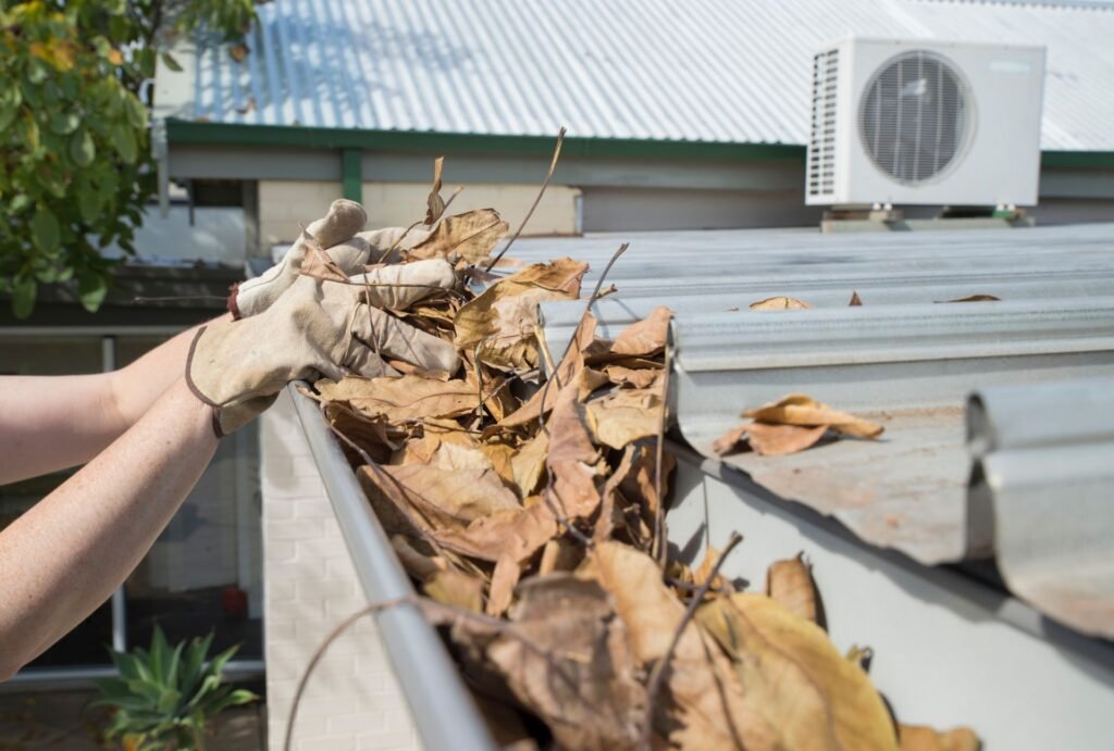 expert gutter cleaning in Auckland