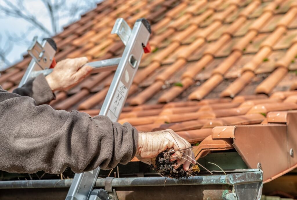 How to Clean Gutter Exterior Auckland NZ