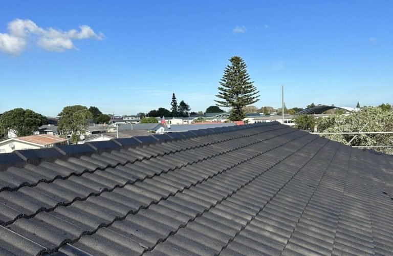 02_Roof Cleaning