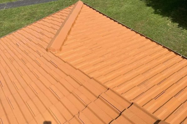 roof painting auckland