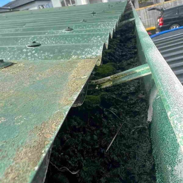 Gutter Cleaning_06_02_01 (1)