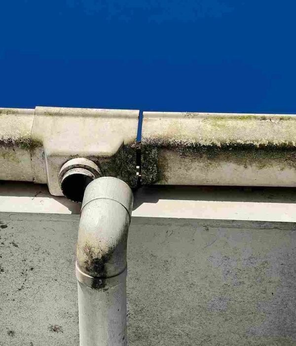 Gutter Maintenance & Repairs_01_01_02 (1)