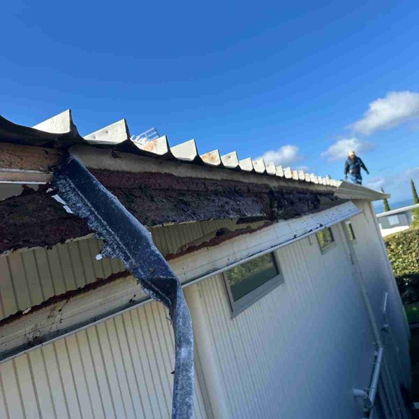 gutter replacement auckland