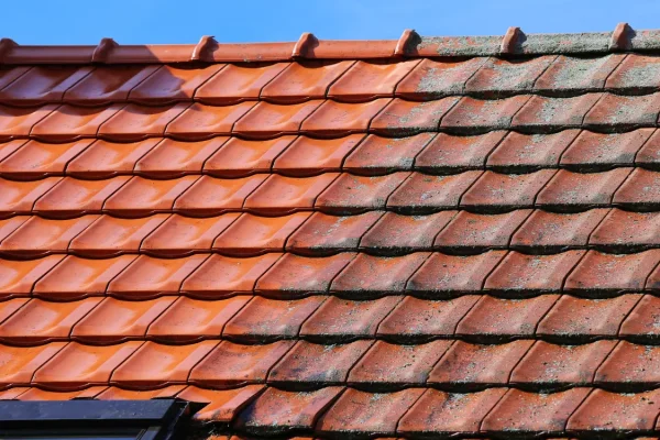 roof cleaning auckland
