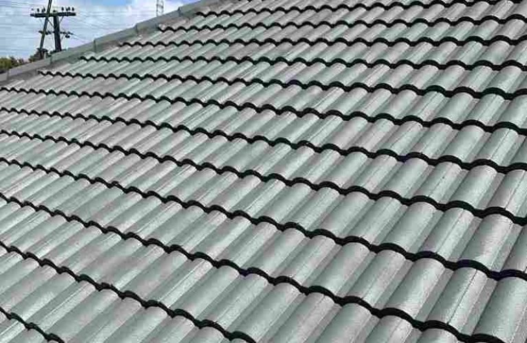 Roof Painting_01_01 (1)